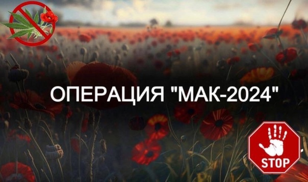 «Мак - 2024»