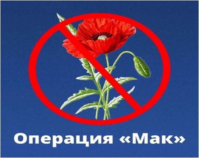 foto 2025 05 15 07 57 001